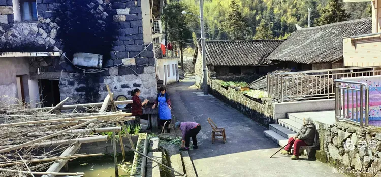 辛丑年正月初十青田行